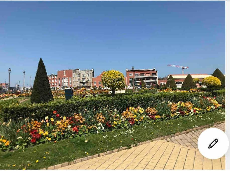 Апартаменты Casa Inca Calais - Duplex Soleil Latino - Parking Free, Station Экстерьер фото